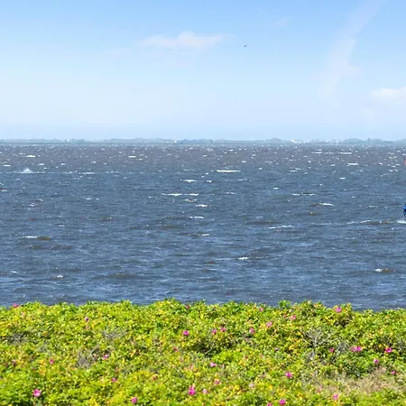 Pet Friendly In With Wifi *