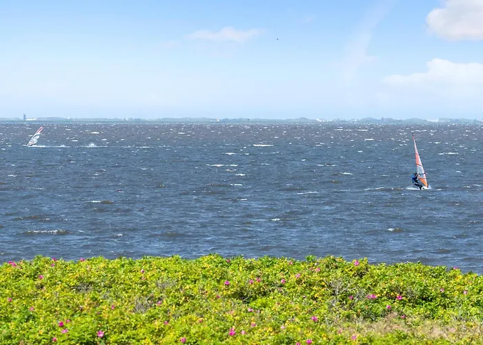 Pet Friendly In With Wifi *